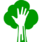 Sicurezza nella potatura ed abbattimento albero