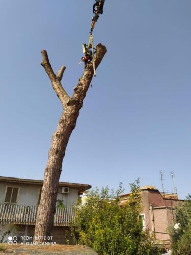 IMG-20210411-WA0014