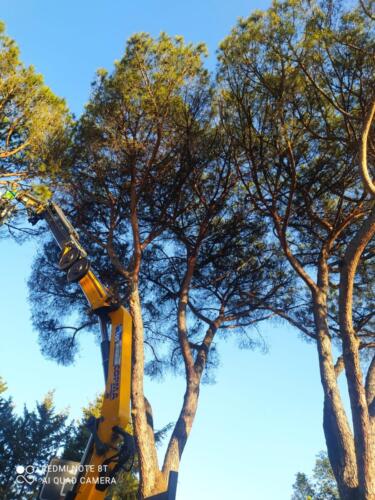 IMG-20210411-WA0019