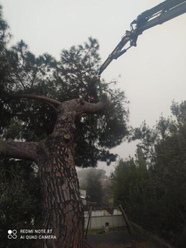 IMG-20210411-WA0024