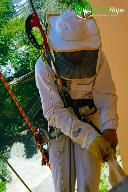 operatore rimuove le api in alveare a roma